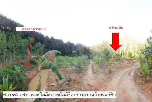 ที่ดินว่างเปล่า สะเดา-สงขลา ถ.บ้านระตะ ต.เขามีเกียรติ อ.สะเดา จ.สงขลา