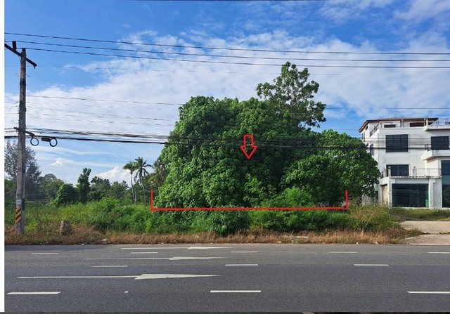 ขายที่ดินว่างเปล่า ติดถนน ถ.ทางหลวงหมายเลข 41-พุนพิน(4153) อ.พุนพิน จ.สุราษฎร์ธานี
