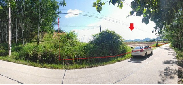 ขายที่ดินว่างเปล่า ซ.บ้านปากน้ำ ถ.สุราษฎร์ธานี-ตะกั่วป่า ต.ต้นยวน อ.พนม จ.สุราษฎร์ธานี