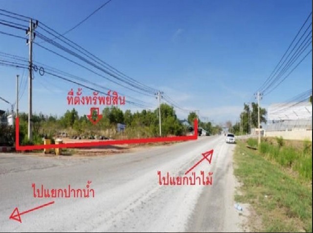 ขายที่ดินว่างเปล่า ถ.สุราษฎร์ธานี-ปากน้ำตาปี ต.บางกุ้ง อ.เมืองสุราษฎร์ธานี จ.สุราษฎร์ธานี