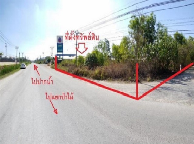 ขายที่ดินว่างเปล่า ถ.สุราษฎร์ธานี-ปากน้ำตาปี ต.บางกุ้ง อ.เมืองสุราษฎร์ธานี จ.สุราษฎร์ธานี