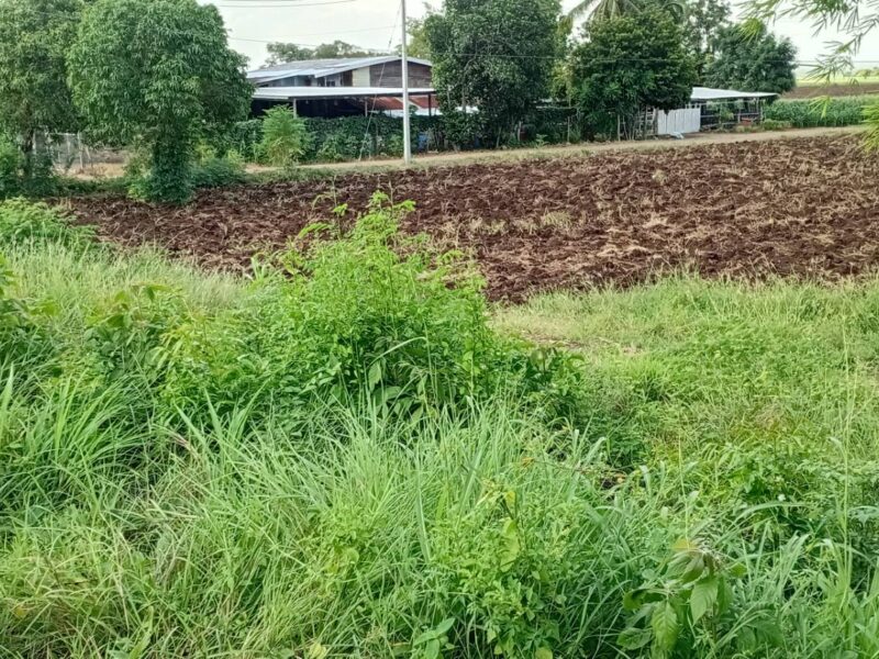 ขายที่ดิน 2ไร่ บ้านหินซ้อน แก่งคอย สระบุรี