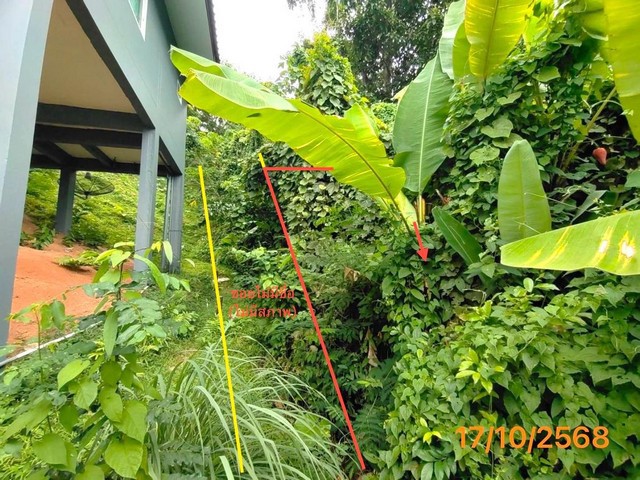 ขายที่ดินเมืองภูเก็ต ถนน โคกโตนด ราคาโปรโมชั่น เนื้อที่ 0-1-65.10 ไร่