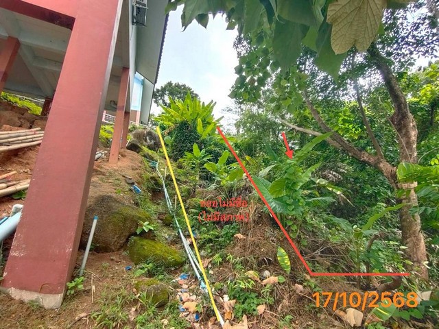 ขายที่ดินเมืองภูเก็ต ถนน โคกโตนด ราคาโปรโมชั่น เนื้อที่ 0-1-65.10 ไร่