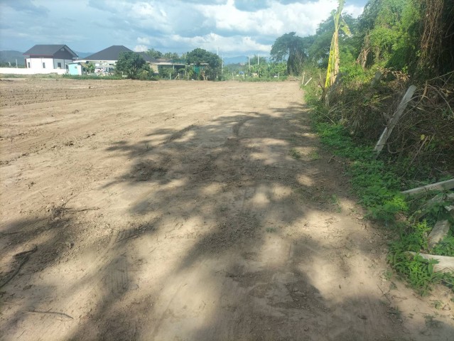 ขายที่ดินทำเลสงบ ดอยสะเก็ด 3 ไร่ 23 ตร.ว ราคา 4.5 ล้านบาท