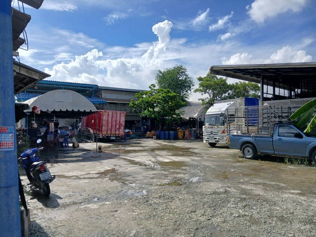 ขายที่ดินทำเลทองใกล้เมกาบางนา ติดถนนหนามแดง–บางพลี เนื้อที่648ตร.วา