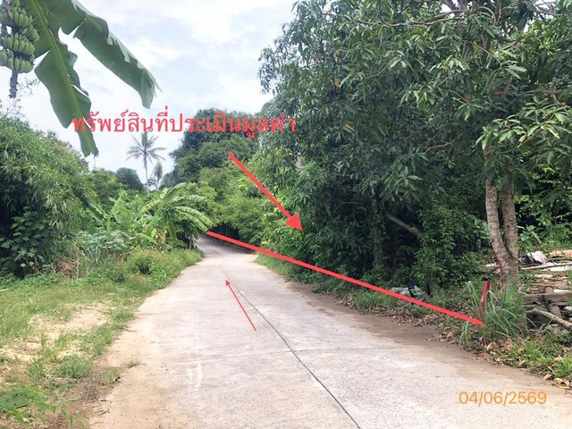 ขายที่ดินสุราษฎร์ธานี อำเภอเกาะสมุย ซอย เข้าโรงแรม DHEVATRA COVE
