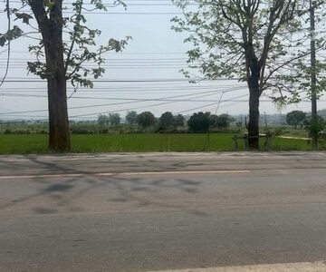 ขายที่ดินติดถนนใหญ่ เส้นเขื่อนแม่งัด อำเภอแม่แตง จังหวัดเชียงใหม่ เนื้อที่ 3 ไร่ 94 ตารางวา