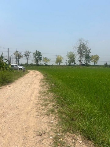 ขายที่ดินติดถนนใหญ่ เส้นเขื่อนแม่งัด อำเภอแม่แตง จังหวัดเชียงใหม่ เนื้อที่ 3 ไร่ 94 ตารางวา