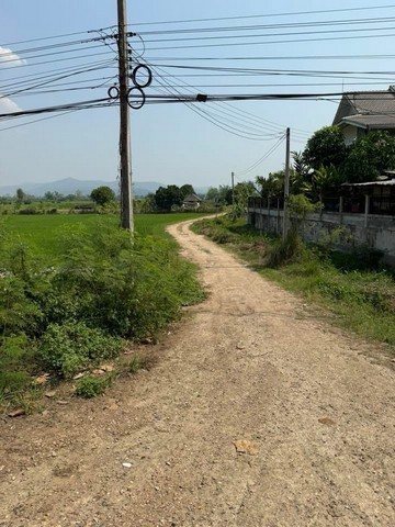ขายที่ดินติดถนนใหญ่ เส้นเขื่อนแม่งัด อำเภอแม่แตง จังหวัดเชียงใหม่ เนื้อที่ 3 ไร่ 94 ตารางวา