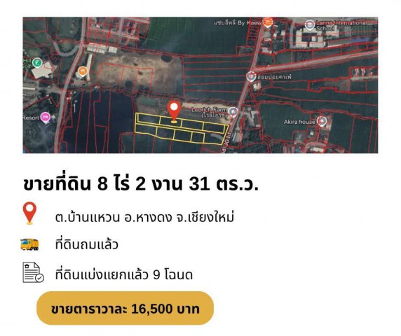 ขายที่ดินยกแปลง 8-2-31 ไร่ บ้านแหวน–หางดง ใกล้โรงเรียนนานาชาติลานนา เหมาะพัฒนาโครงการ