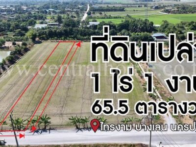จองด่วน ที่ดินเปล่า 1-1-65.5 ไร่ ไทรงาม ถนนบางเลน นครปฐม ติดถนน
