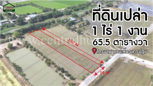 จองด่วน ที่ดินเปล่า 1-1-65.5 ไร่ ไทรงาม ถนนบางเลน นครปฐม ติดถนน