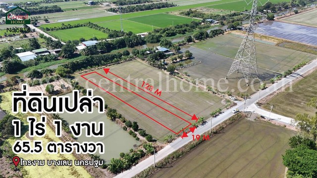 จองด่วน ที่ดินเปล่า 1-1-65.5 ไร่ ไทรงาม ถนนบางเลน นครปฐม ติดถนน