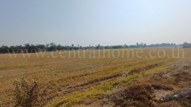 ขายด่วน ที่ดิน ผืนใหญ่ 34-1-44 ไร่ อ.ไทรน้อย จ.นนทบุรี ทำเลดี ราคาถูกมาก