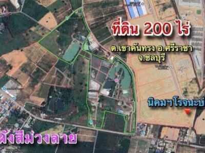 ขายที่ดิน 200 ไร่ ผังสีม่วงลาย เขาคันทรง ศรีราชา ชลบุรี