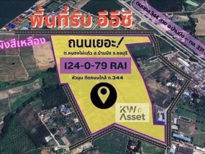 ขายที่ดินสุดปัง 124-0-79 ไร่ สำหรับทำโรงงาน แห่งบ้านบึง ชลบุรี