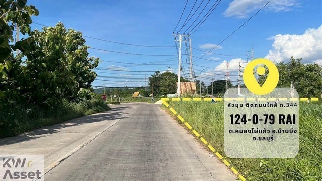 ขายที่ดินสุดปัง 124-0-79 ไร่ สำหรับทำโรงงาน แห่งบ้านบึง ชลบุรี