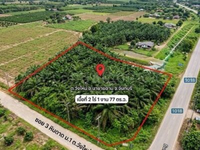 ที่ดินเปล่า ซอย 3 หินดาด นายายอาม จันทบุรี ที่ดินสวย ติดทางสาธารณะประโยชน์ 2 ด้าน