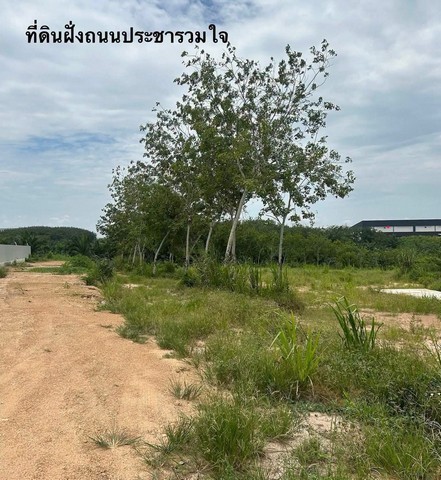 ให้เช่าที่ดินและขายที่ดิน ทำเลทอง ติดนิคมอุตสาหกรรมโรจนะ หนองใหญ่ ชลบุรี