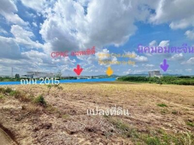 ขายที่ดิน 46 ไร่ สีม่วงเข้ม ติดอมตะซิตี้ มาบยางพรอ ปลวกแดง ระยอง