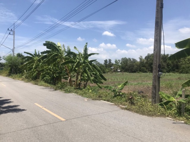 ขายที่ดินหนองเสือ บึงชำอ้อ ปทุมธานี คลอง 8 ฝั่งตะวันออก เนื้อที่ 2 ไร่ สี่เหลี่ยมผืนผ้าติดถนนลาดยาง