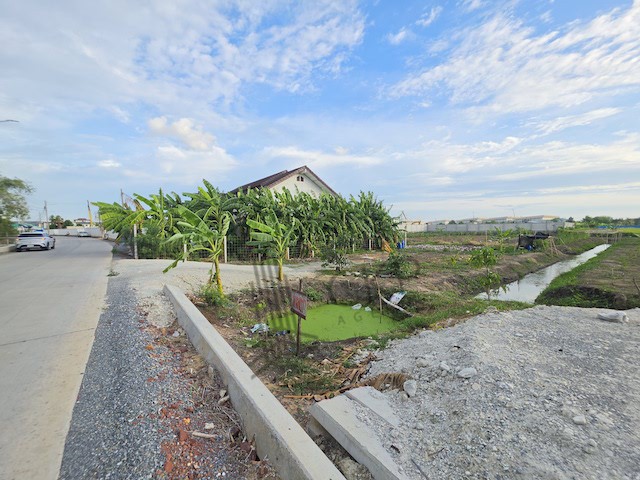 ขายที่ดินพร้อมบ้านและสวน ขนาดใหญ่ 6 ไร่ 114 ตร.วา ทำเลทอง ใกล้ถนนพุทธมณฑลสาย 5 เพียง 750 เมตร เหมาะสำหรับทำบ้านพักตากอากาศ บ้านสวน | 93389