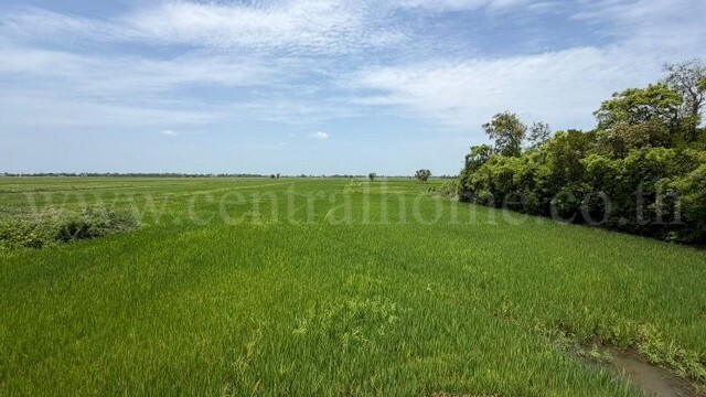 ที่ดินราคาถูก 4-2-63 ไร่ เข้าออกได้หลายทาง  ต.บางซ้าย พระนครศรีอยุธยา