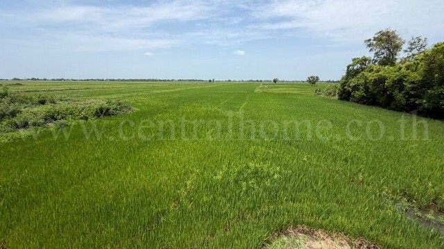 ที่ดินราคาถูก 4-2-63 ไร่ เข้าออกได้หลายทาง  ต.บางซ้าย พระนครศรีอยุธยา