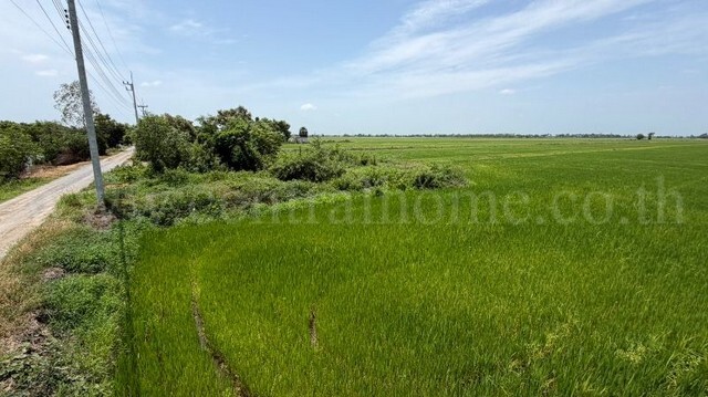 ที่ดินราคาถูก 4-2-63 ไร่ เข้าออกได้หลายทาง  ต.บางซ้าย พระนครศรีอยุธยา