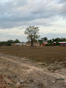 ขายที่ดิน เจ้าของขายเอง 16 ไร่ 1 งาน 94 ตรว. นครพนม