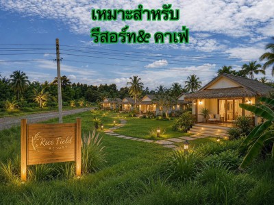 ขายที่ดินทำเลดี 2 ไร่ 1 งาน 31 ตารางวา กาฬสินธุ์ คุณอบเชย 090-2452070