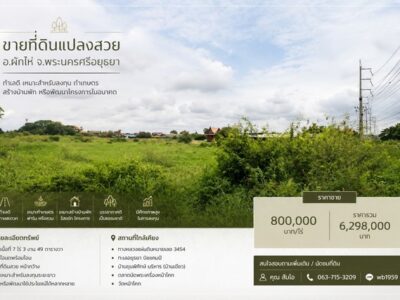 ขายที่ดินแปลงสวย อำเภอผักไห่ จังหวัดพระนครศรีอยุธยา ทำเลดี เหมาะสำหรับลงทุน ทำเกษตร สร้างบ้านพัก