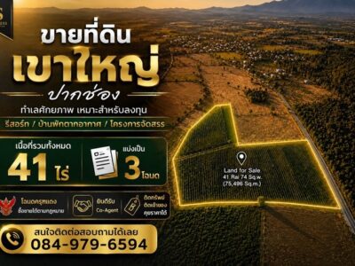 ขาย ดิน 41 ไร่ เขาใหญ่ อำเภอปากช่อง จังหวัดนครราชสีมา