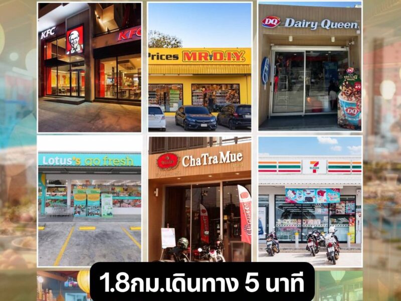 ขายด่วน!!ที่ดินใกล้มหาลัยแม่โจ้ อ.แม่ริม จ.เชียงใหม่ เจ้าของขายเอง ราคาต่ำกว่าตลาดมาก