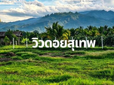 ขายที่ดินแปลงสวย อ.แม่ริม จ.เชียงใหม่ เจ้าของขายเอง