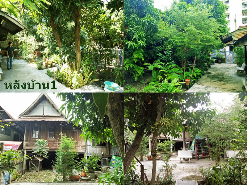 ที่ดินติดถนนใหญ่ 777 ตร.ว. ใกล้สถานีรถไฟลงกลางตลาดพลู ศักยภาพ TOD