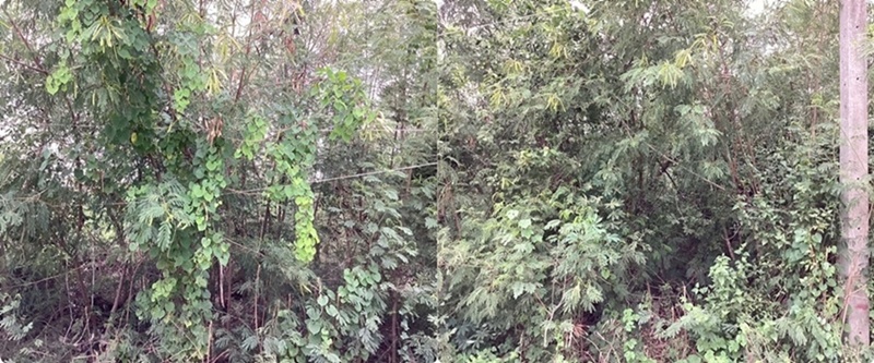 ขายที่ดิน คลองสาม 1 ไร่ คลองหลวง จ.ปทุมธานี