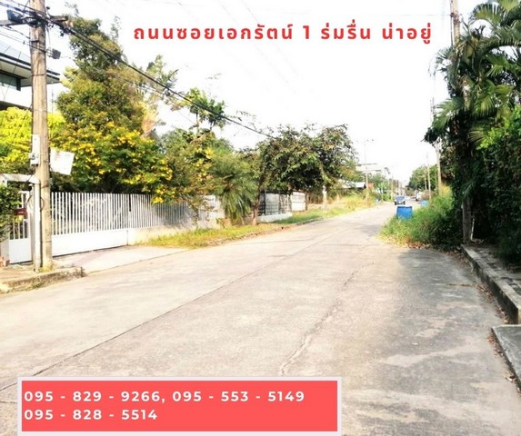 ขายถูกที่ดินเท่าราคาประเมิน ถมสูงกว่าถนน 50 ซม. 98 วา ถนนกว้าง 10 ม. ซ.เอกรัตน์1 ใกล้ตลาดสัมมากรและ ม.รังสิต อ. เมือง ต. หลักหก จ.ปทุมธานี