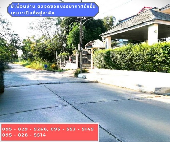 ขายถูกที่ดินเท่าราคาประเมิน ถมสูงกว่าถนน 50 ซม. 98 วา ถนนกว้าง 10 ม. ซ.เอกรัตน์1 ใกล้ตลาดสัมมากรและ ม.รังสิต อ. เมือง ต. หลักหก จ.ปทุมธานี