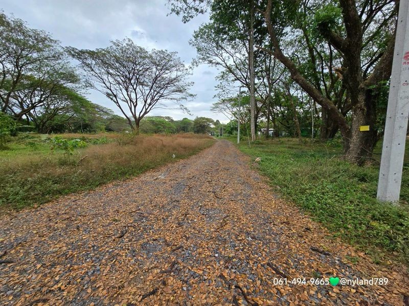 โอ้โห ลดไปล้านกว่า ที่สวยติดน้ำล่องแก่ง ต.สาริกา อ.เมืองนครนายก 2 ไร่ 3 งาน 76 ตรว. รูปที่สี่เหลี่ยมผืนผ้าสวย ติดทางสาธารณะ 2 ด้าน
