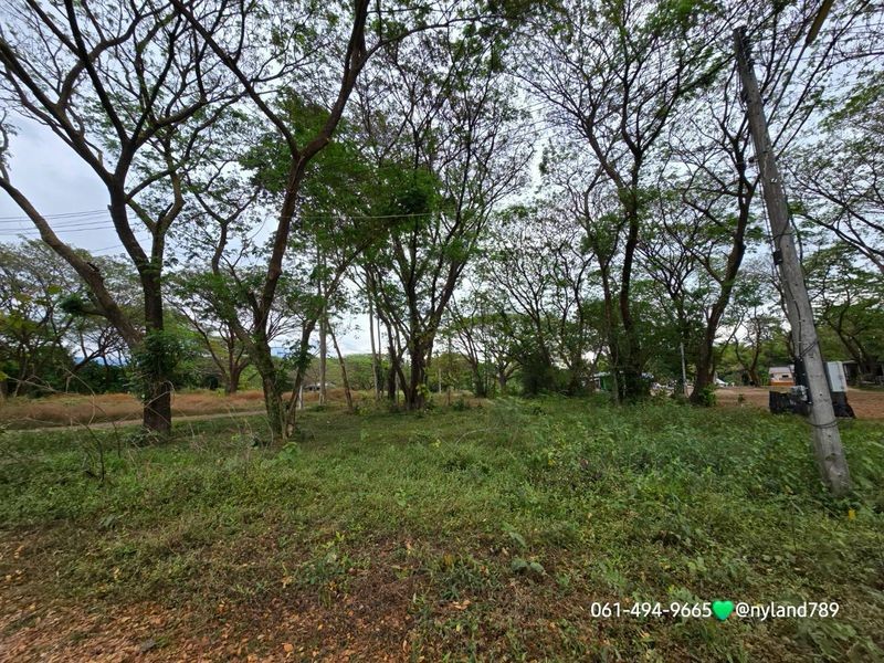 โอ้โห ลดไปล้านกว่า ที่สวยติดน้ำล่องแก่ง ต.สาริกา อ.เมืองนครนายก 2 ไร่ 3 งาน 76 ตรว. รูปที่สี่เหลี่ยมผืนผ้าสวย ติดทางสาธารณะ 2 ด้าน