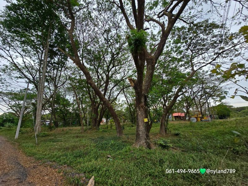 โอ้โห ลดไปล้านกว่า ที่สวยติดน้ำล่องแก่ง ต.สาริกา อ.เมืองนครนายก 2 ไร่ 3 งาน 76 ตรว. รูปที่สี่เหลี่ยมผืนผ้าสวย ติดทางสาธารณะ 2 ด้าน