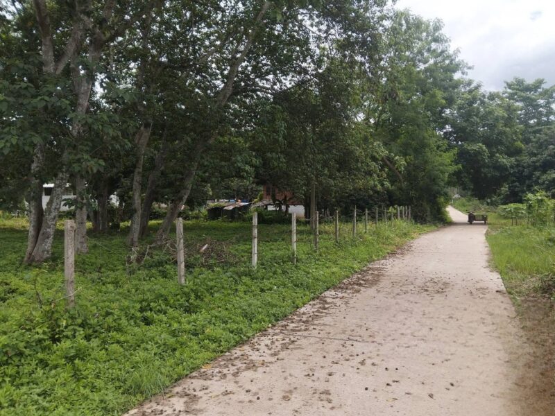 ขายที่ดินบ้านปง อ.หางดงเชียงใหม่ 1-0-10 ตรว 5.8ล้าน