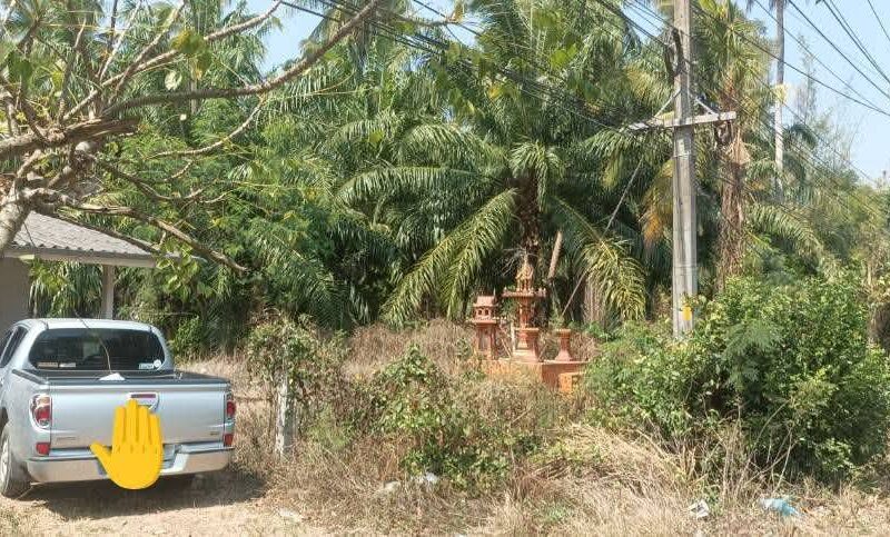ประกาศขายบ้านพร้อมที่ดิน ต.อ่างทอง อ.ทับสะแก จ.ประจวบคีรีขันธ์