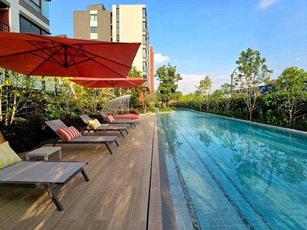 Dcondo Vivid Rangsit ใกล้ ม.กรุงเทพ พร้อมอยู่ Fully Furnished แต่งครบ โทร 065-4496399
