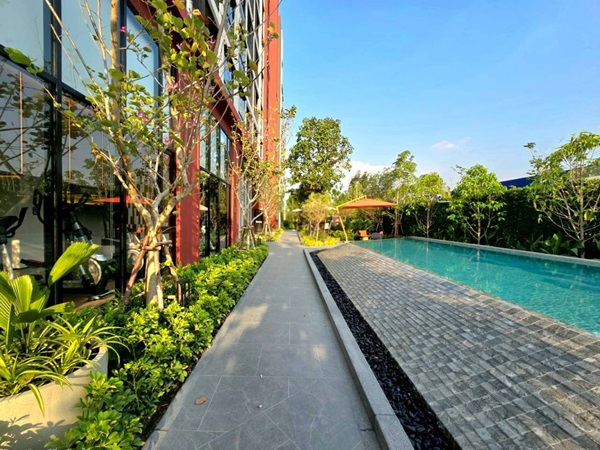 ดีคอนโด วิวิด รังสิต คอนโด ใกล้ ม.กรุงเทพ พร้อมอยู่ Fully Furnished แต่งครบ โทร 0654496399
