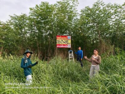 ขายด่วนที่ดินบงกช 1 ไร่ ติดถนนสาธารณะ ซอย บงกช 6 คลองหลวง ปทุมธานี