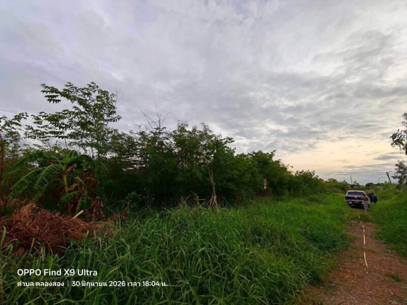 ขายด่วนที่ดินบงกช 1 ไร่ ติดถนนสาธารณะ ซอย บงกช 6 คลองหลวง ปทุมธานี
