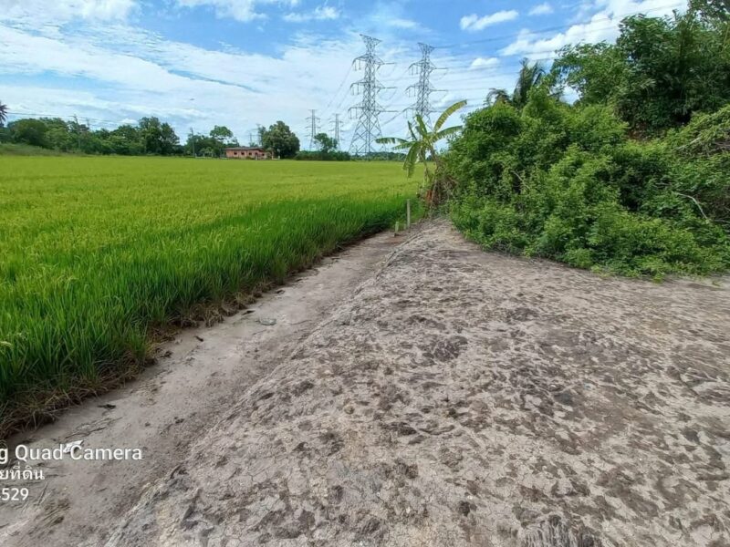 ขายด่วนที่ดินใกล้รร.บ้านคลองฝรั่ง 200 ตารางวา) (ติดถนนสาธารณะ ถมแล้วไทรน้อย นนทบุรี